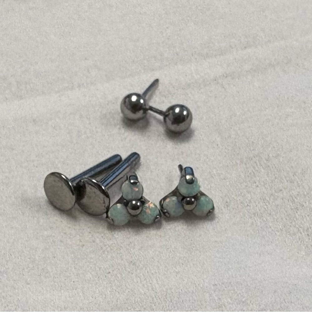 Titanium flat back earrings